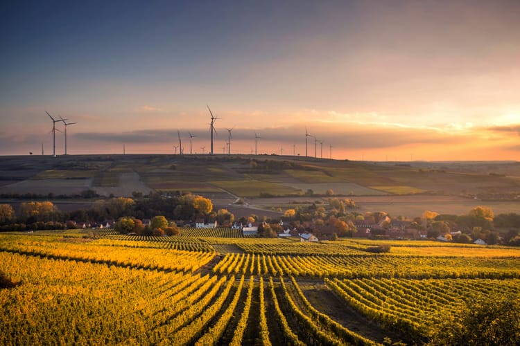 Tesco teams up with Natwest to support farmers’ energy transition