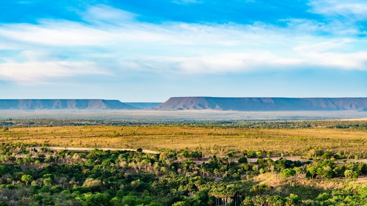 Meta to purchase millions of carbon credits from Latin American forests