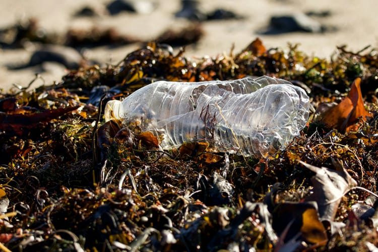 Slow progress on Global Plastic Treaty as talks dominated by fossil lobbyists