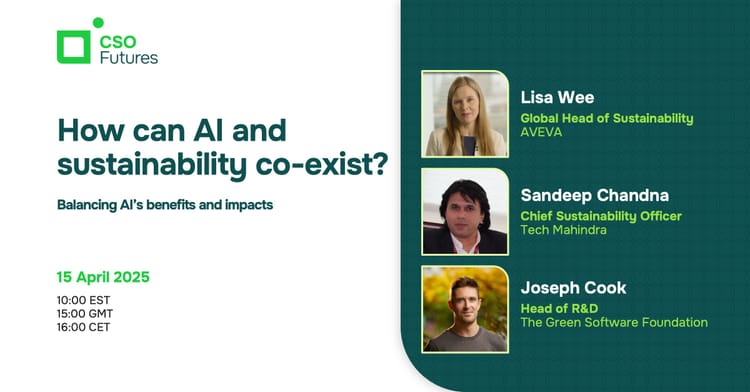 Can AI and sustainability co-exist? How to balance the pros and cons of AI