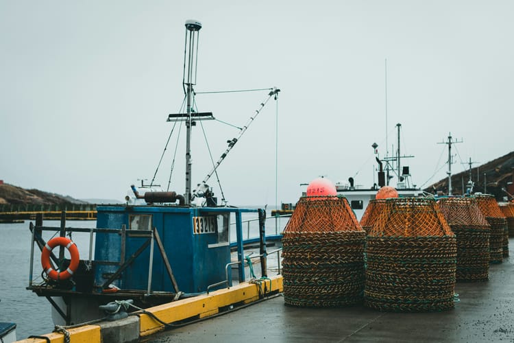 SBTN unveils first ocean science-based targets for seafood companies