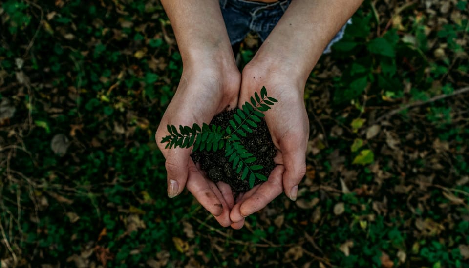 How SMBs can make our world more sustainable – on World Earth Day, and beyond
