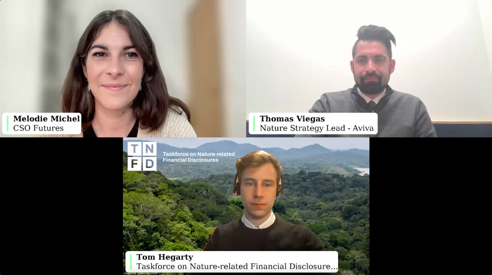 From low-hanging fruit to nature transition planning: Watch CSO Futures' nature strategy webinar