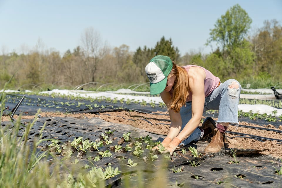 Report shows lagging Sustainable Development Goals progress in the EU