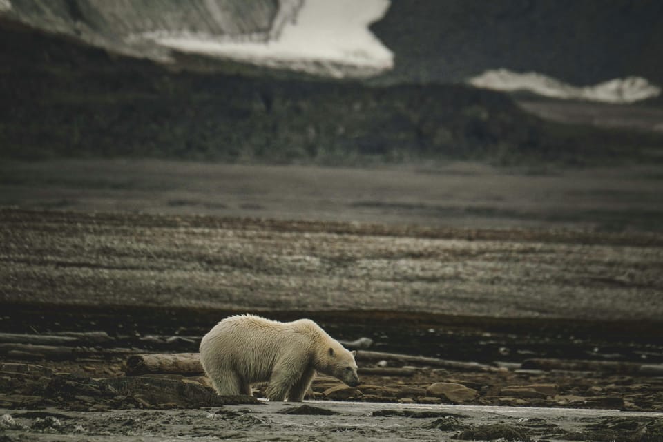 Half of EU firms rank climate change within top 10 risks